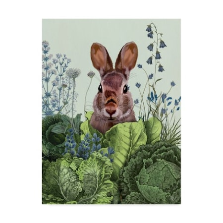 Fab Funky 'Cabbage Patch Rabbit 6' Canvas Art,35x47